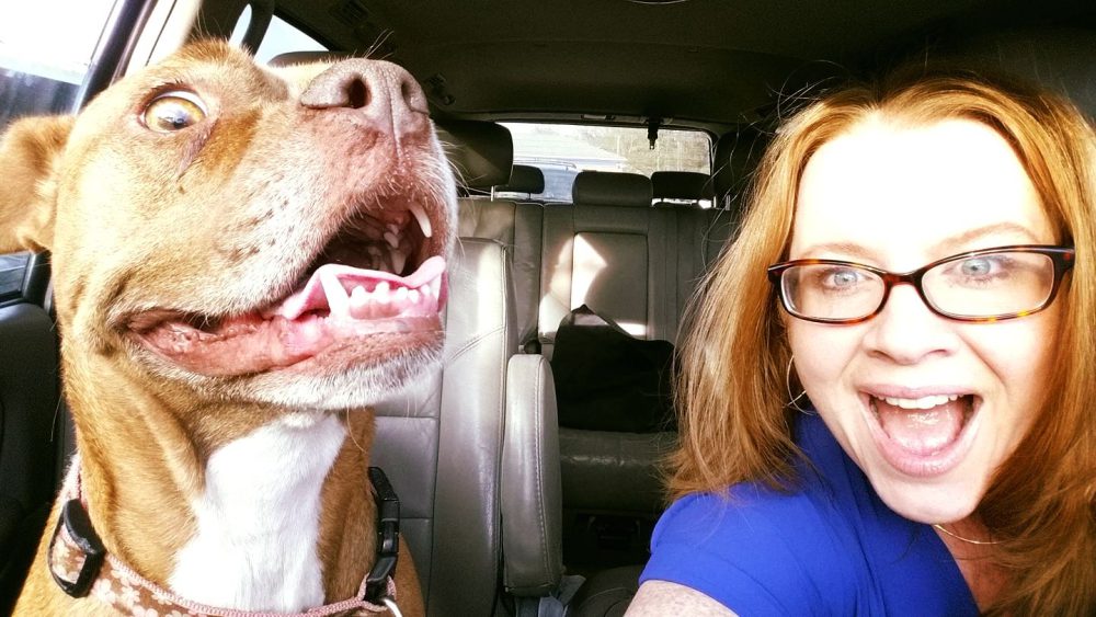 Jodi’s Blog: WHY and HOW I Foster Dogs