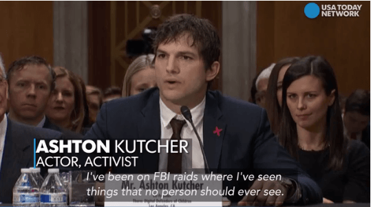 WATCH: Ashton Kutcher Testifies Human Trafficking in Washington