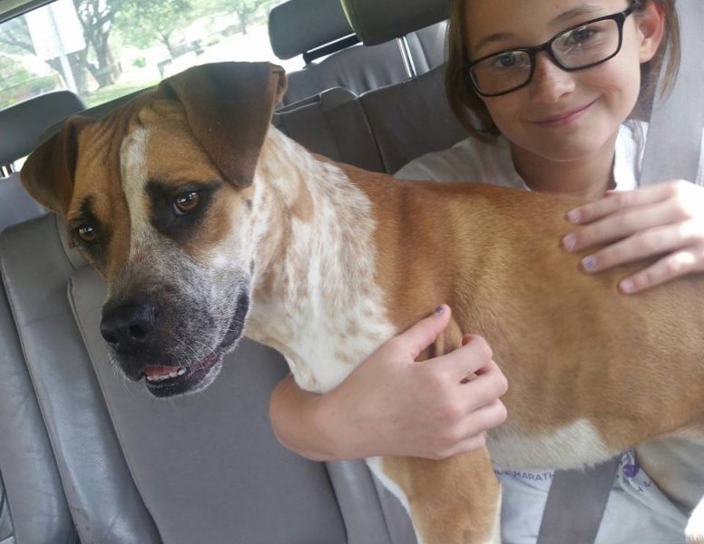 PODCAST: Policing new pets