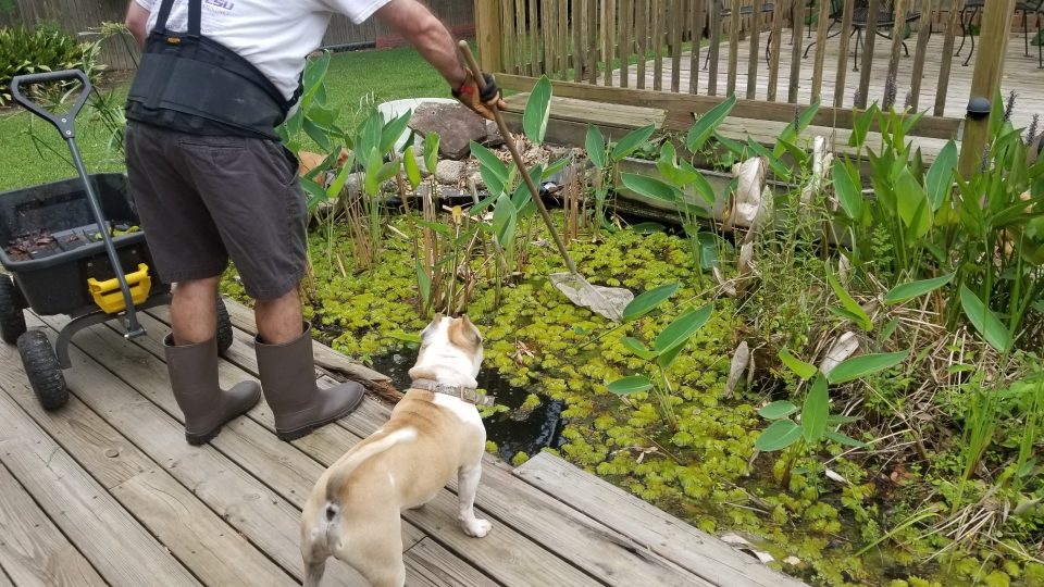 AFTER THE SHOW PODCAST:  Pond Finds