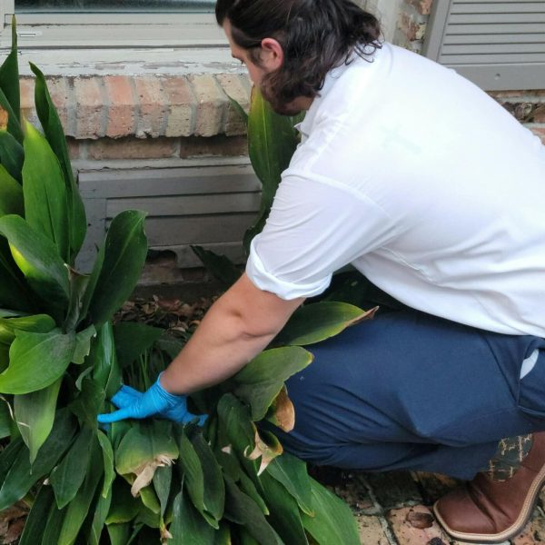 After The Show PODCAST: Who goes there?