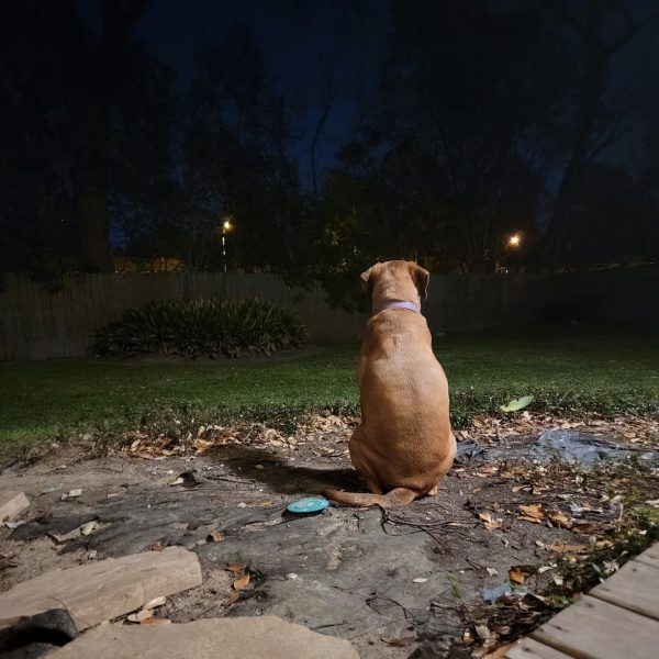 After The Show PODCAST: Caught on camera.