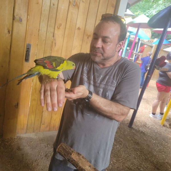 After The Show PODCAST: Man in the Woods.