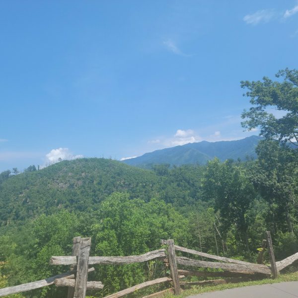 After The Show PODCAST: Mind Reset.