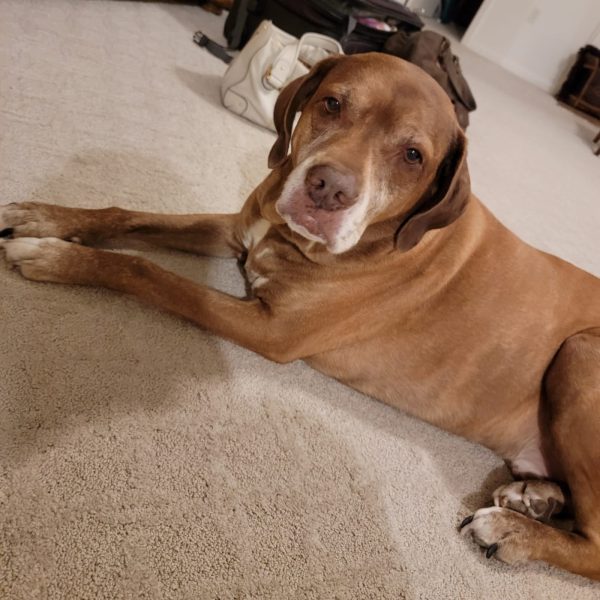 After The Show PODCAST: How Murphy & Jodi’s house smells GOOD!