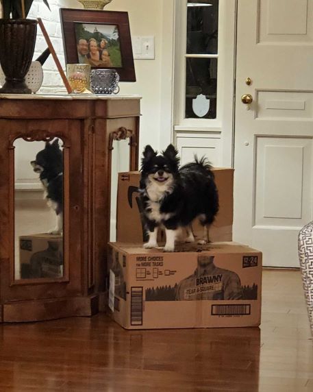 After The Show PODCAST: Shipping Issues 2022.