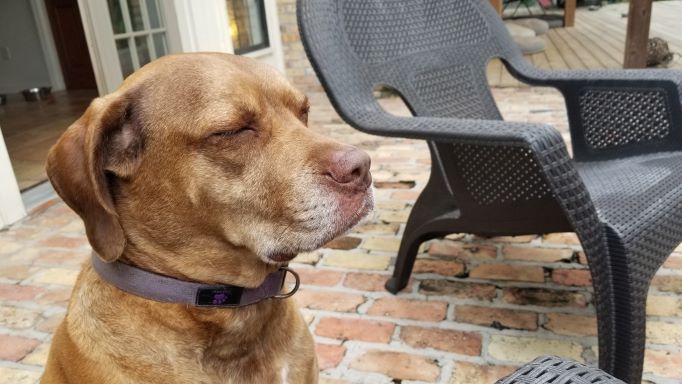 After The Show PODCAST: Me YOW.