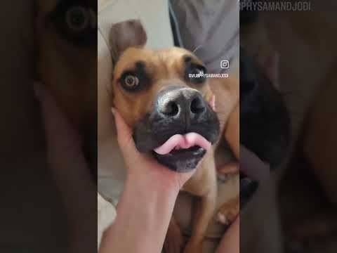 The name “Olive” is not sticking ???? We’re changing it. Meet “HAZEL!”