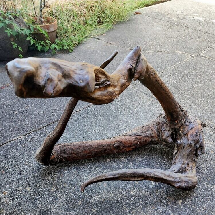 After The Show PODCAST: Family Treasure.