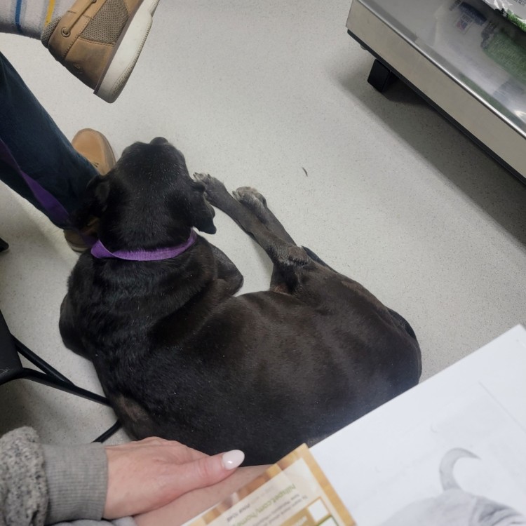 After The Show PODCAST: Looky who needs to lose 20 lbs.