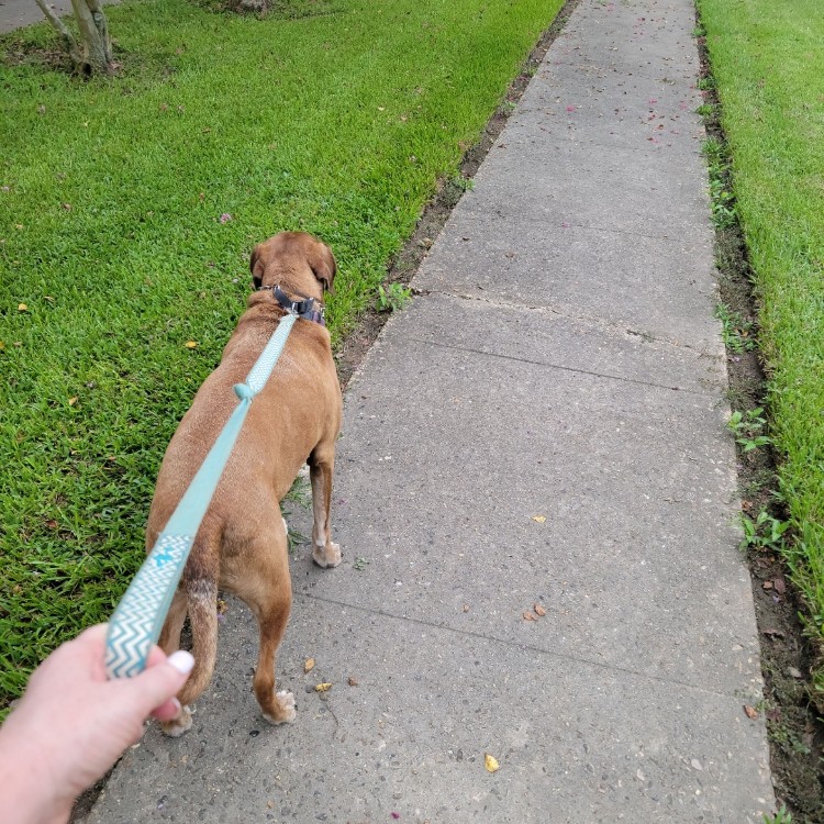 After The Show PODCAST: Stepping Out!