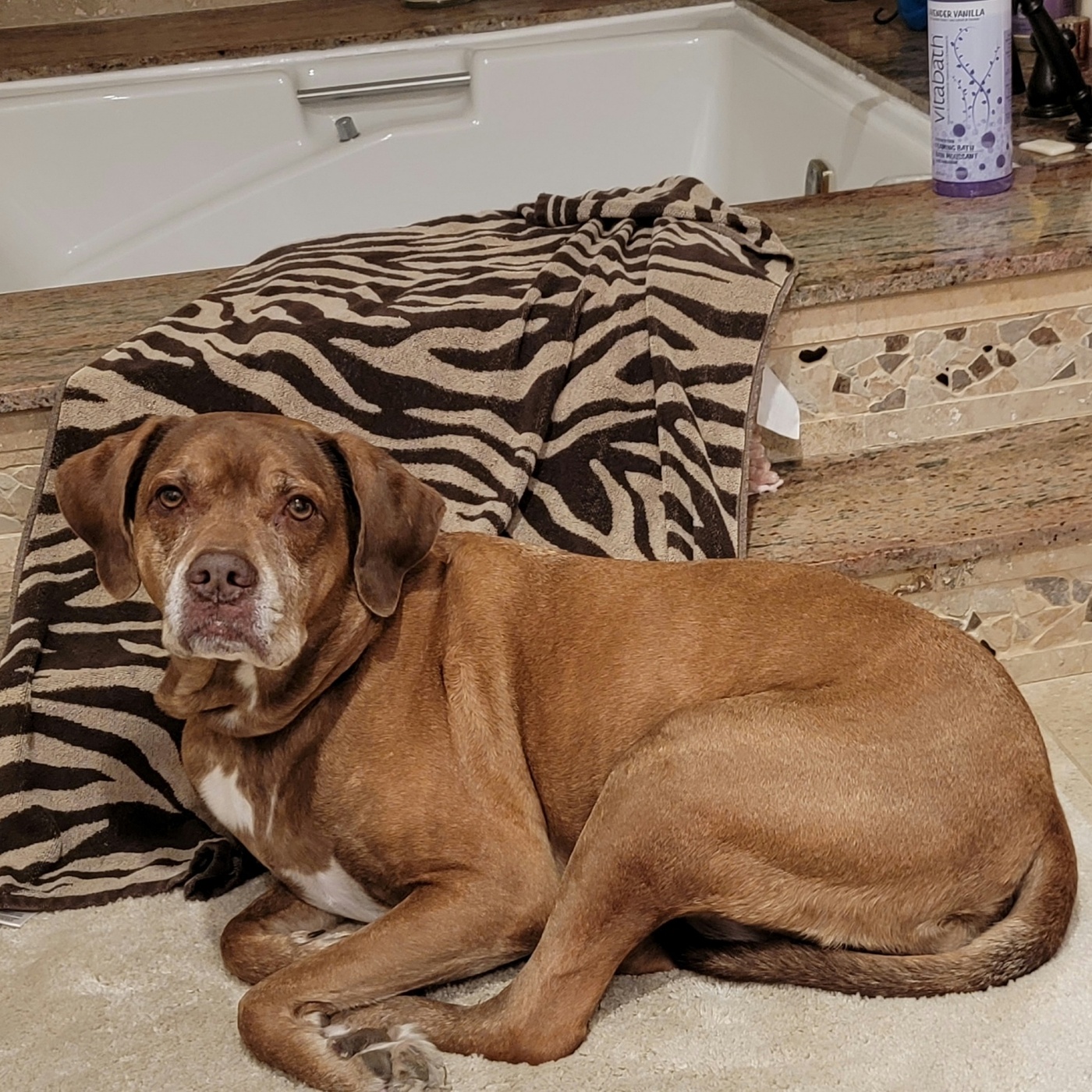 AFTER THE SHOW PODCAST: Bath or Shower?