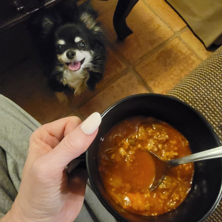 New Year, New Meals 2026