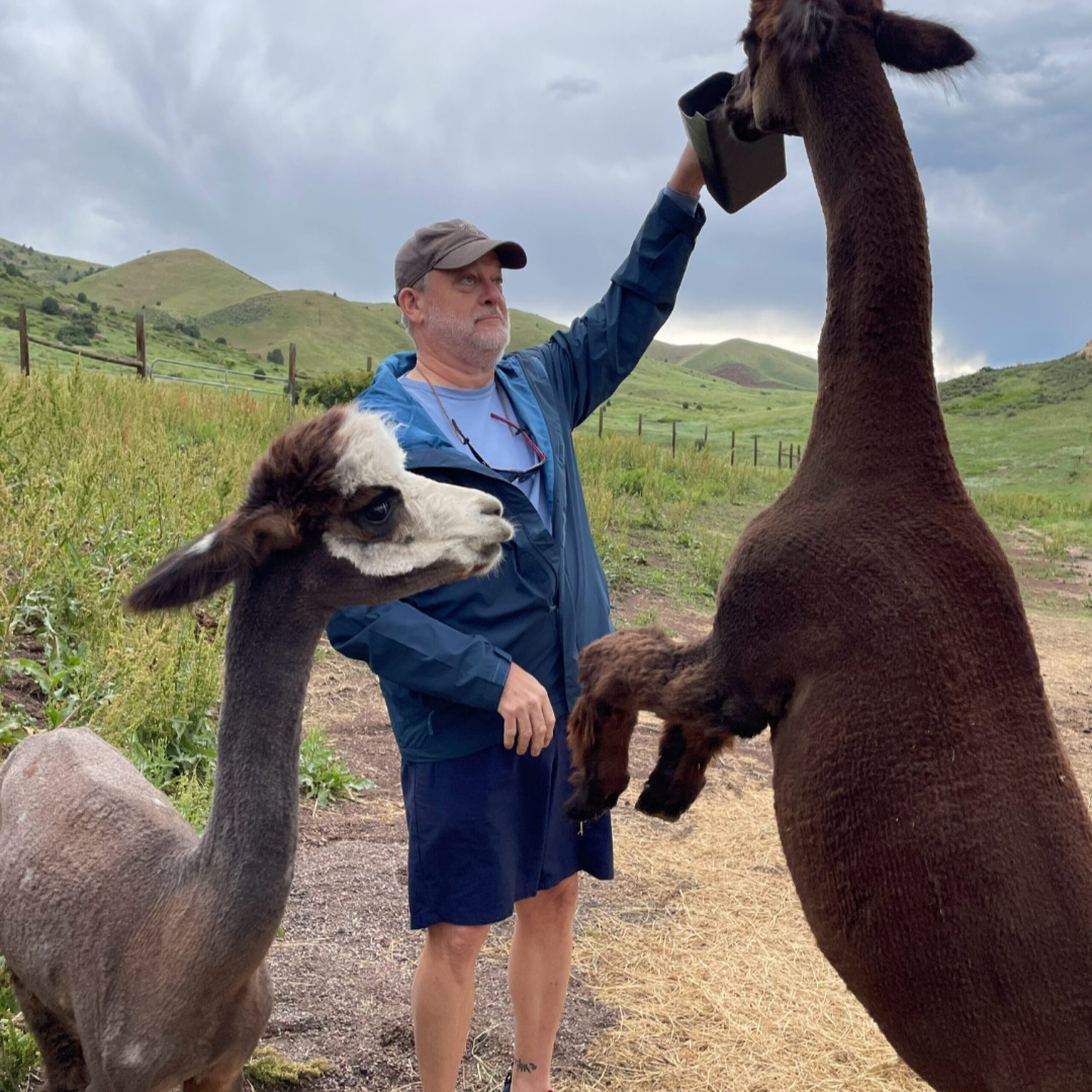 Bison Survivor / Murphy’s Mocktail / Vacation Spending  – THE  WEEKEND SHOW PODCAST 7/17
