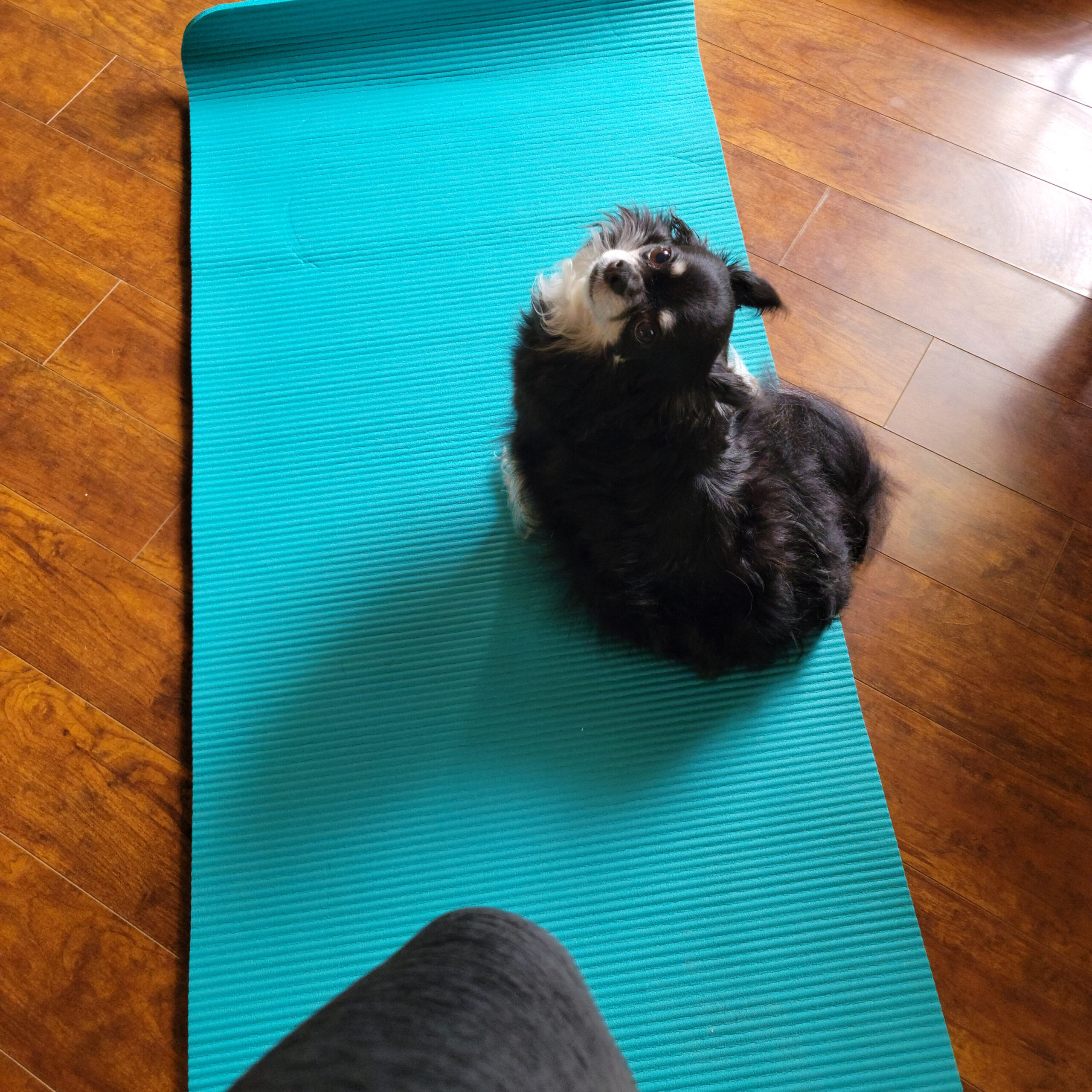 The After-Dinner Exercise That Balances Your Blood Sugar – AFTER THE SHOW 9/23